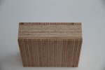 SVL European Beech Faced Panel on White Birch Multiply