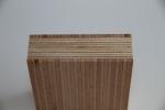 SVL European Beech Faced Panel on White Birch Multiply